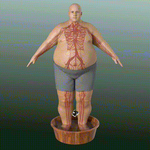 Pachete naturale pentru detoxifiere și drenaj limfatic
